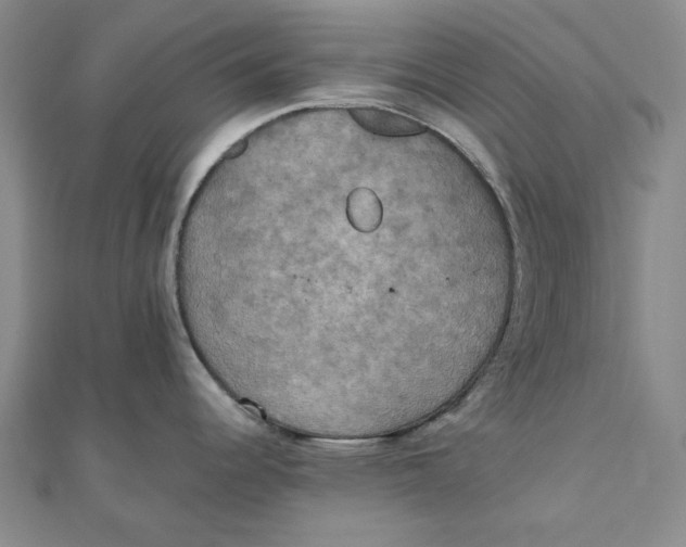 X0000110321344200906111445