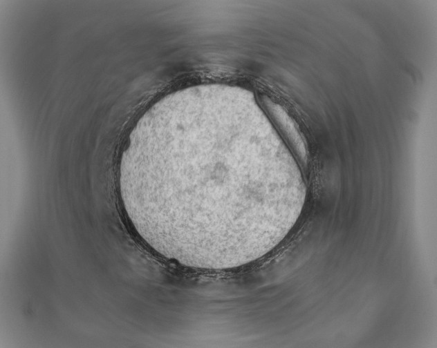 X0000110321345200906111444