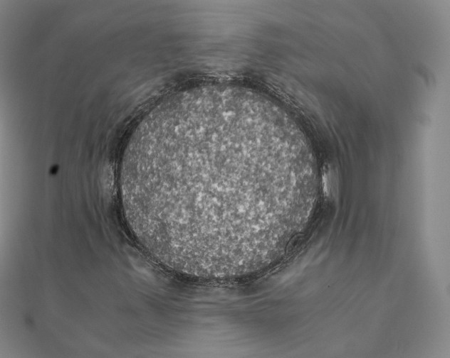 X0000110321347200906111444