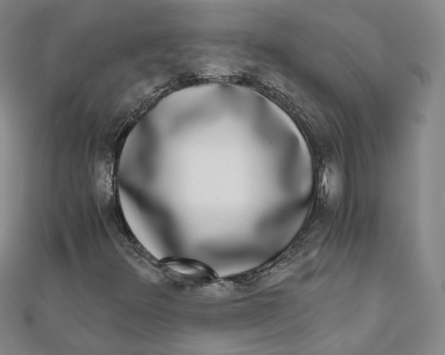 X0000110321348200906111444