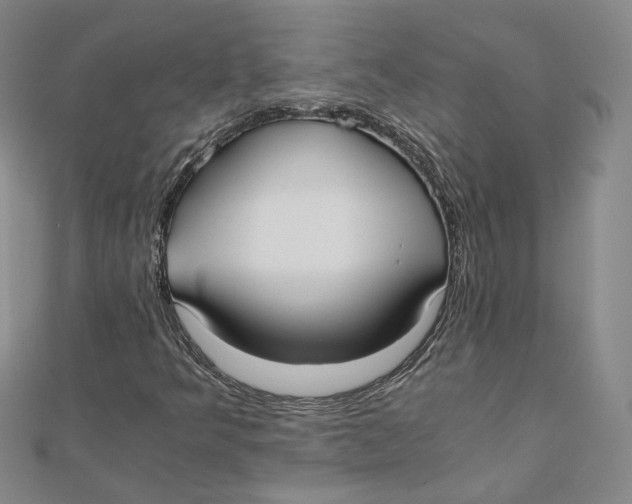 X0000110321349200906111444