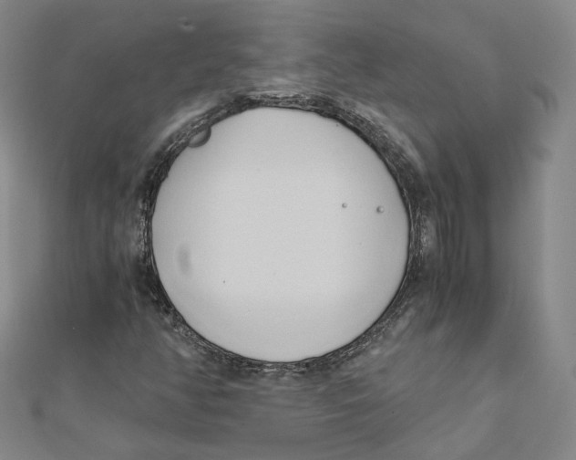 X0000110321350200906111444