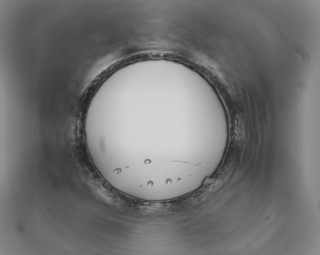 X0000110321352200906111444