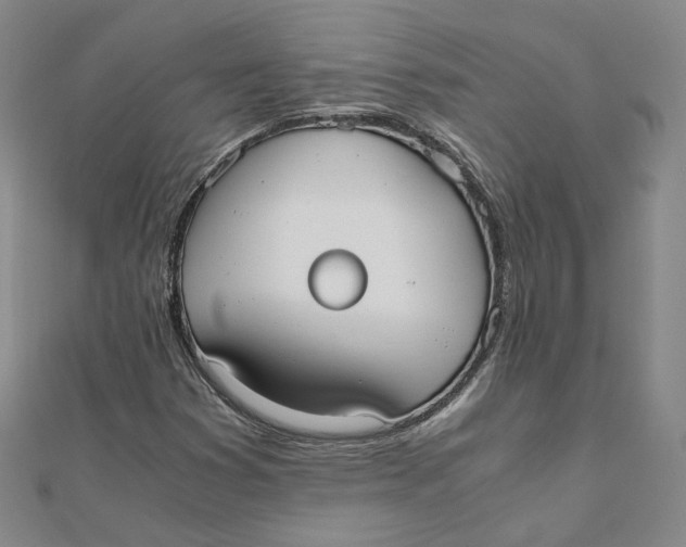 X0000110321353200906111444