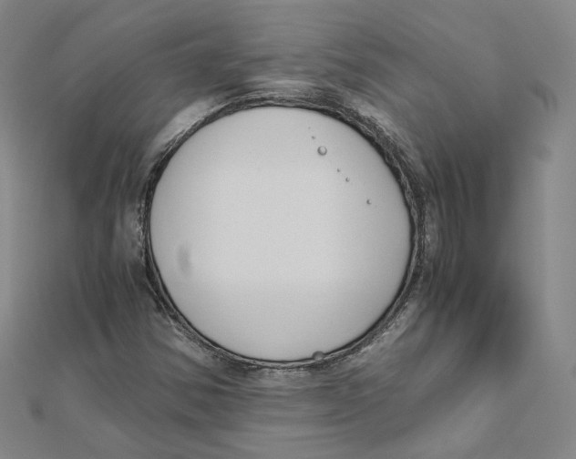 X0000110321354200906111444