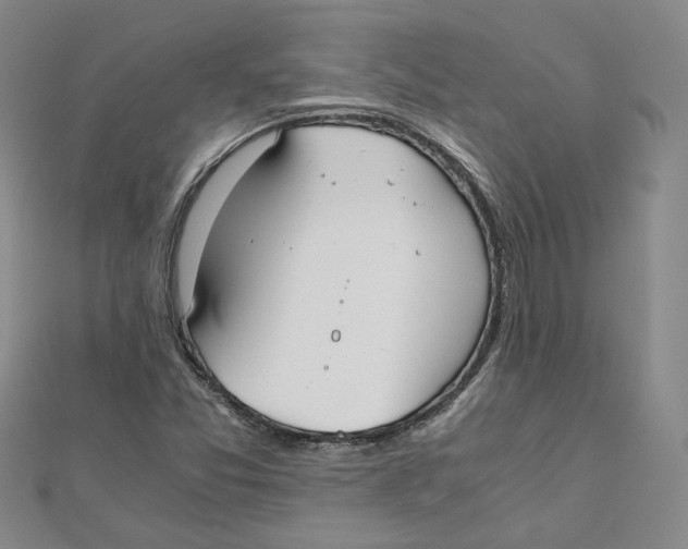 X0000110321357200906111444