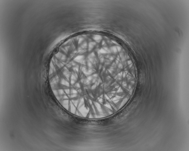 X0000110321359200906111444