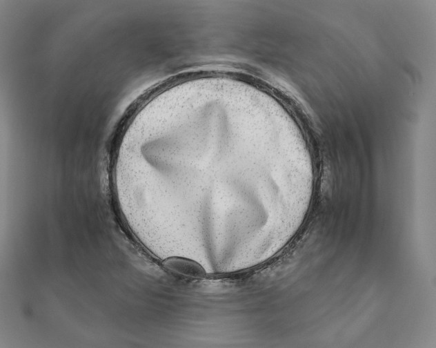 X0000110321360200906111444