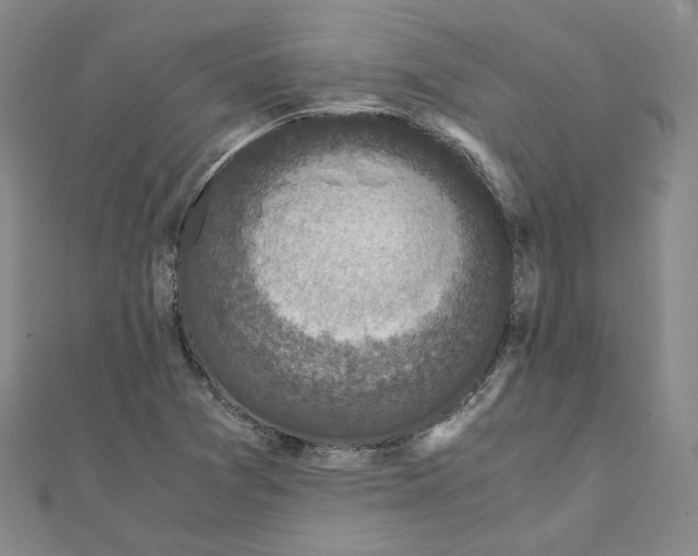 X0000110321361200906111444