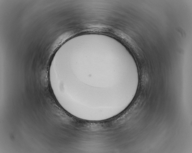 X0000110321362200906111444