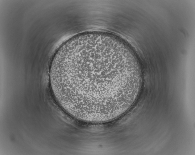 X0000110321363200906111444