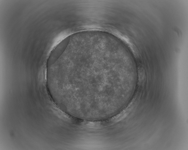 X0000110321365200906111444