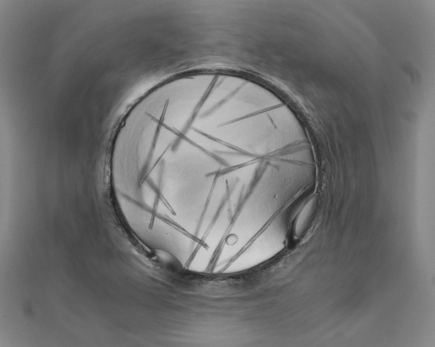 X0000110321367200906111444