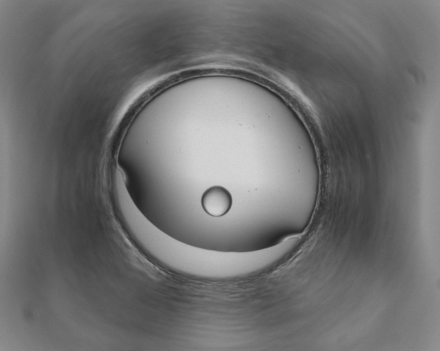 X0000110321368200906111444