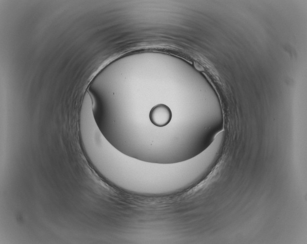 X0000110321369200906111444