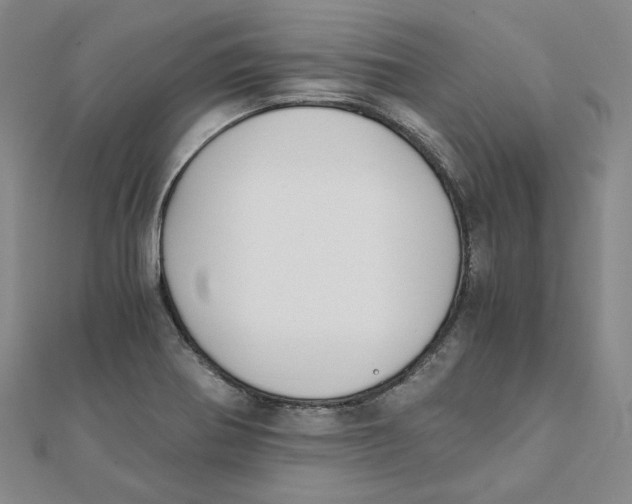 X0000110321370200906111444