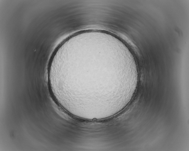 X0000110321372200906111444