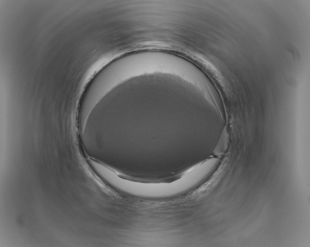 X0000110321373200906111444