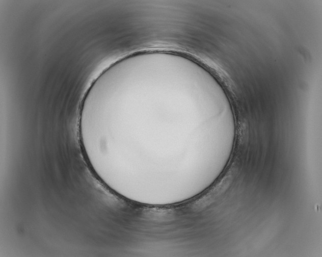 X0000110321374200906111444