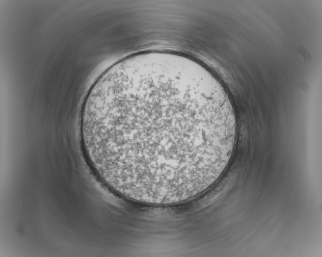 X0000110321375200906111444