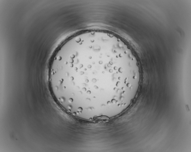 X0000110321376200906111444