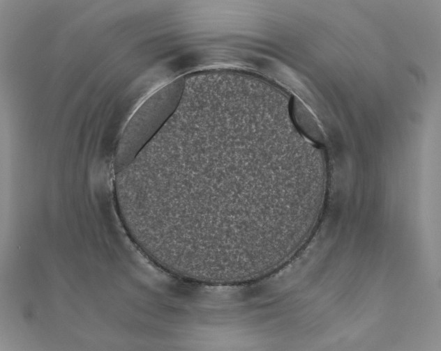 X0000110321377200906111444