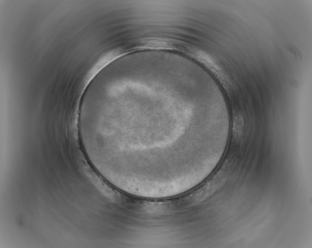 X0000110321378200906111444