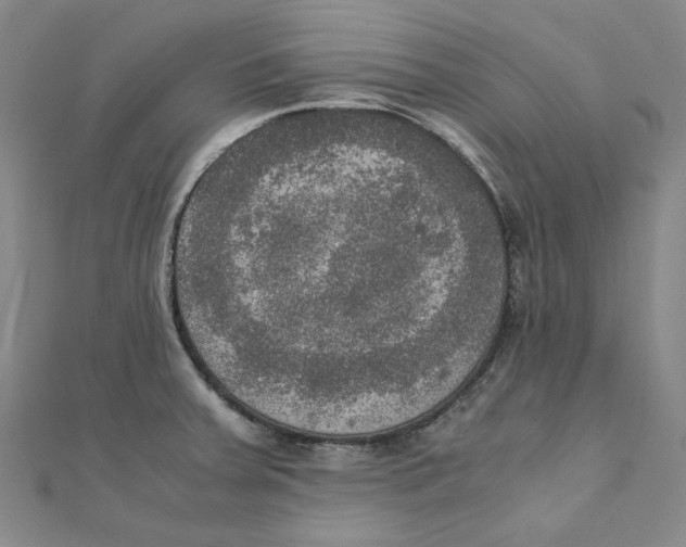 X0000110321379200906111444