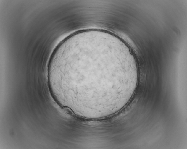 X0000110321380200906111444