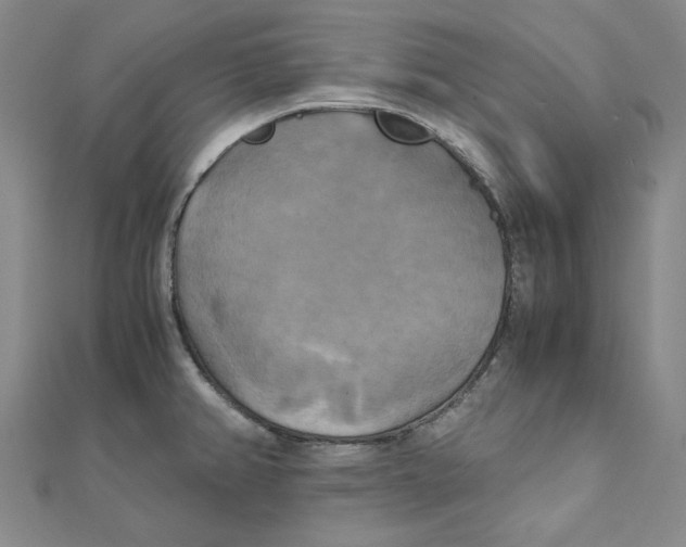 X0000110321382200906111444