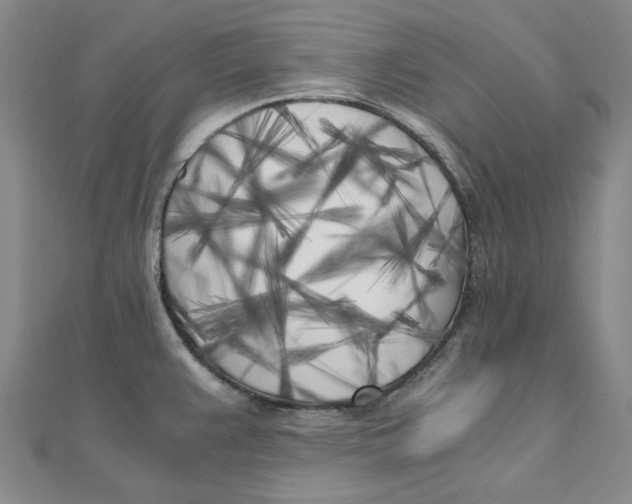 X0000110321383200906111444