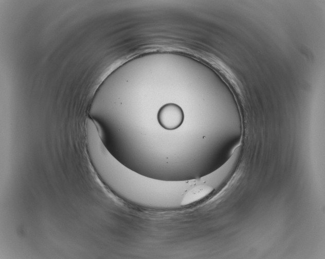 X0000110321385200906111444