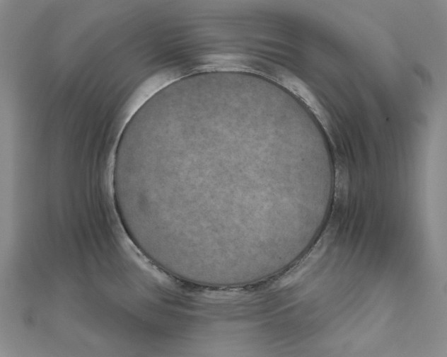 X0000110321386200906111444