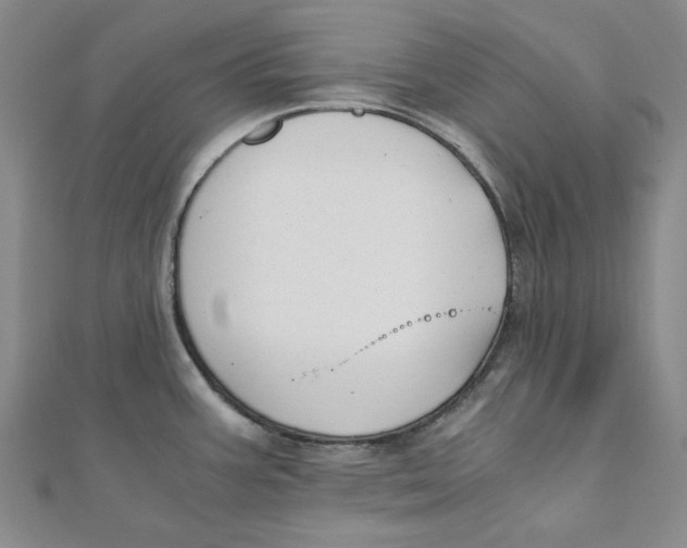 X0000110321387200906111444