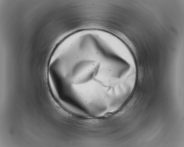 X0000110321388200906111444