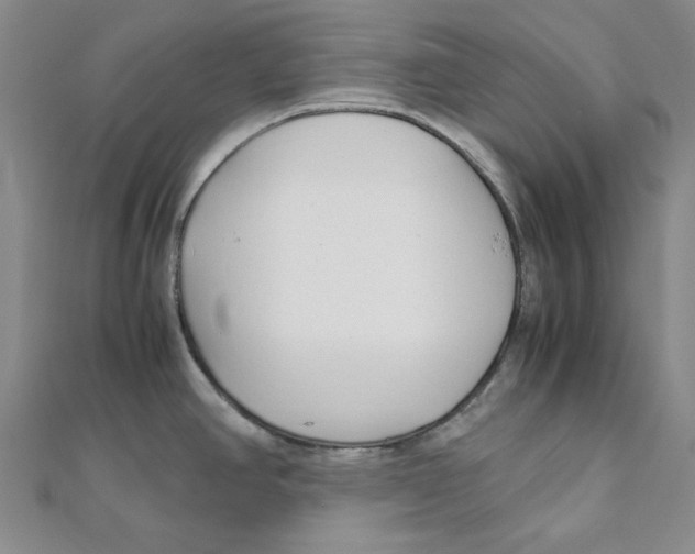 X0000110321390200906111443