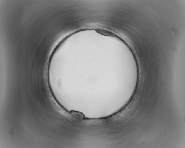 X0000110321392200906111443