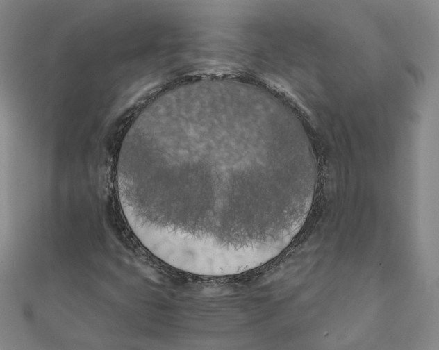 X0000110321399200906111443