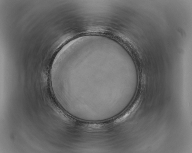 X0000110321401200906111443