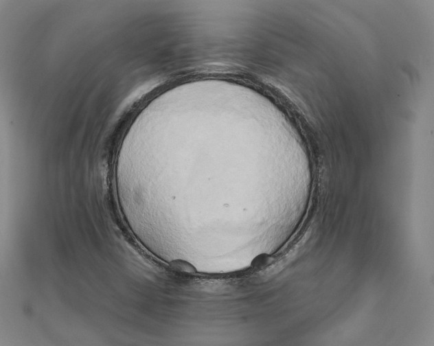 X0000110321402200906111443