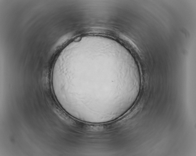 X0000110321403200906111443