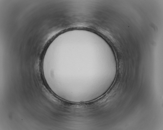 X0000110321404200906111443