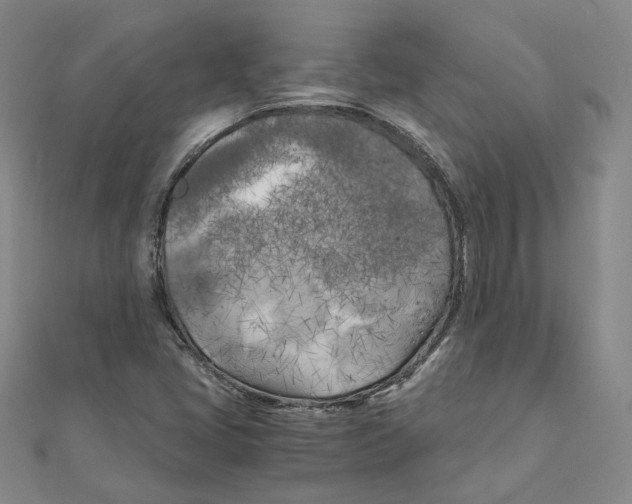 X0000110321405200906111443