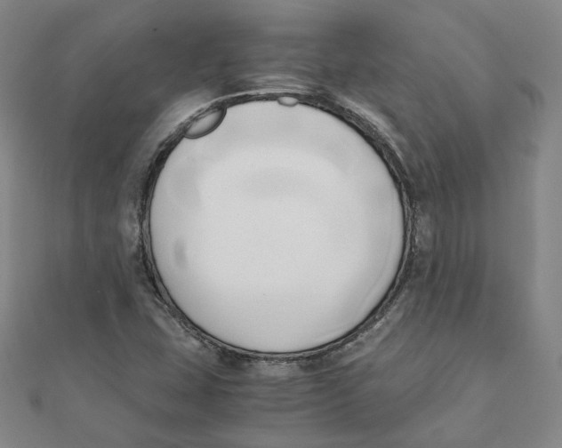 X0000110321407200906111443