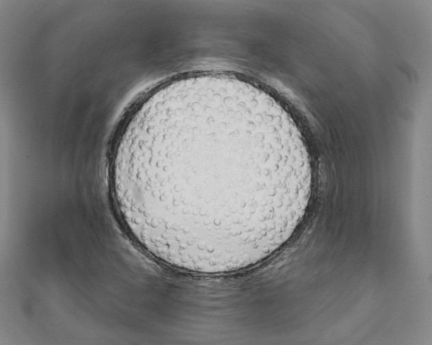 X0000110321408200906111443