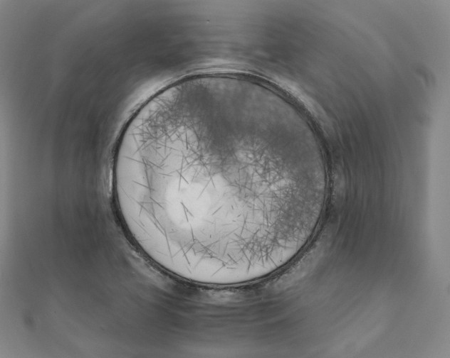 X0000110321413200906111443