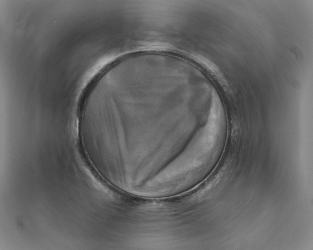 X0000110321414200906111443