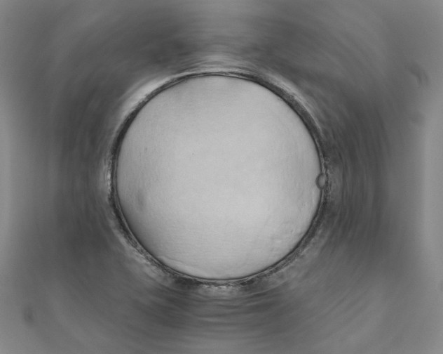 X0000110321415200906111443