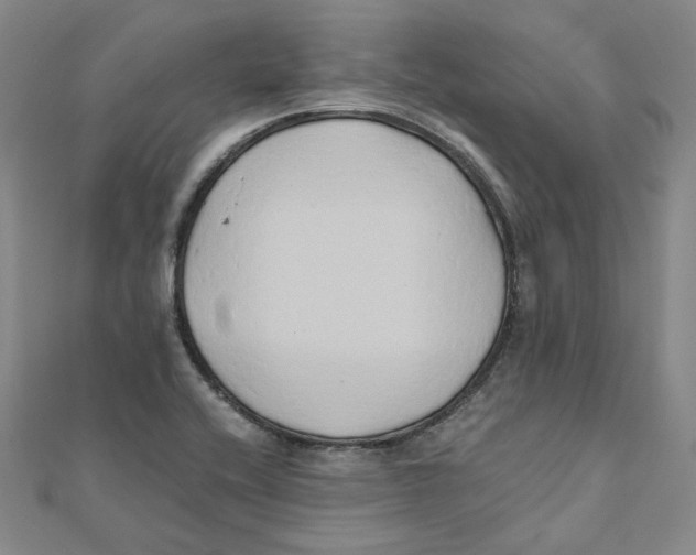 X0000110321416200906111443