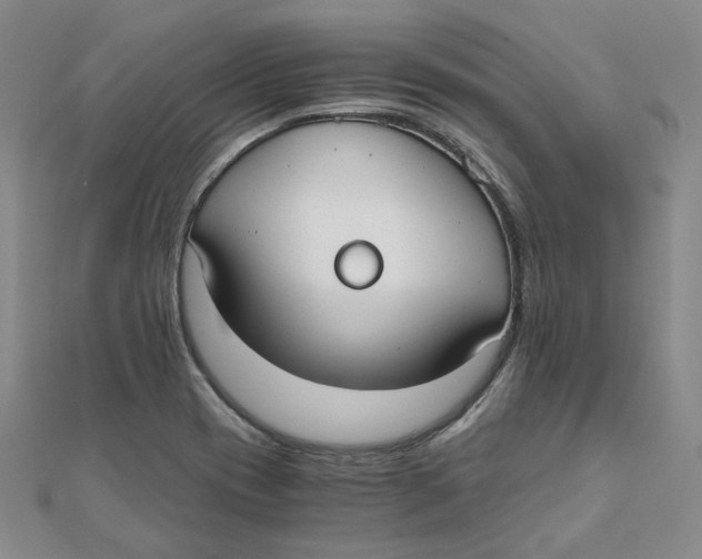 X0000110321417200906111443